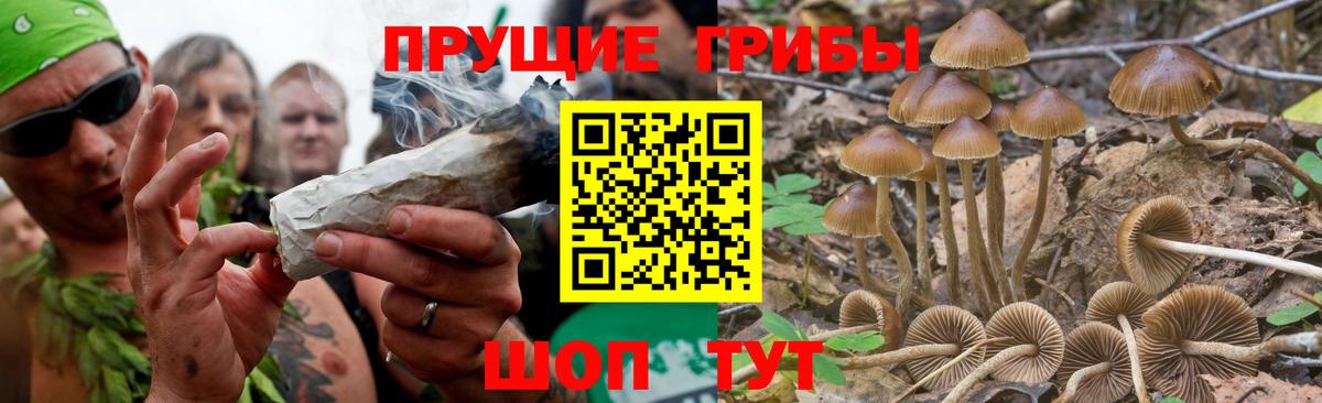 наркотики  Галлюциногенные грибы MAGIC MUSHROOMS  Вход с VPN  Ростов Великий 